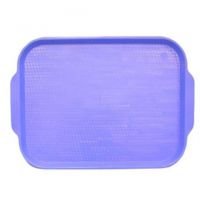 Поднос пищевой, пластик 45х35.5см, голубой (123)