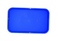 Поднос пищевой, пластик 53х33см, голубой