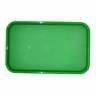 Поднос пищевой, пластик 53х33см, зеленый