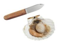 Нож для устриц 110/220 мм ручка дерев. Tellier N4170